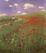 A Field of Poppies